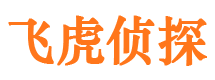 淇县市婚姻调查